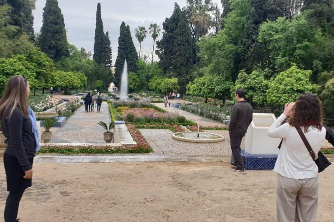 Full-Day Private Tour of Fez - Chouara Tannery and the working medina