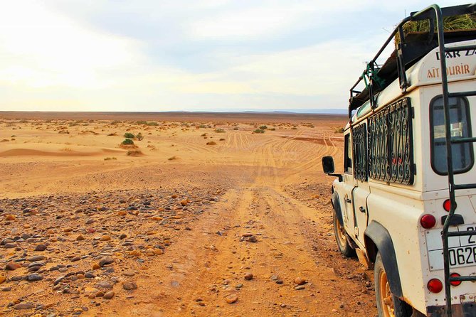 Full-Day Safari Small Desert With Lunch - How the price compares with the experience