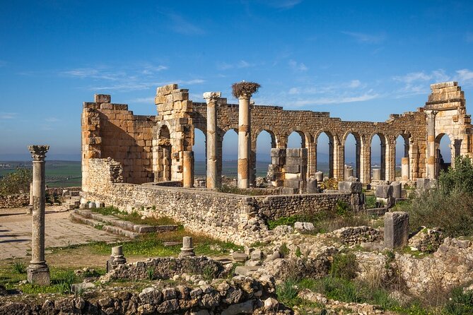 Full-Day Tour from Fez to Vollubulis, Moulay Idriss Zerhoun, Mèknes - Volubilis: Morocco’s Roman ruins