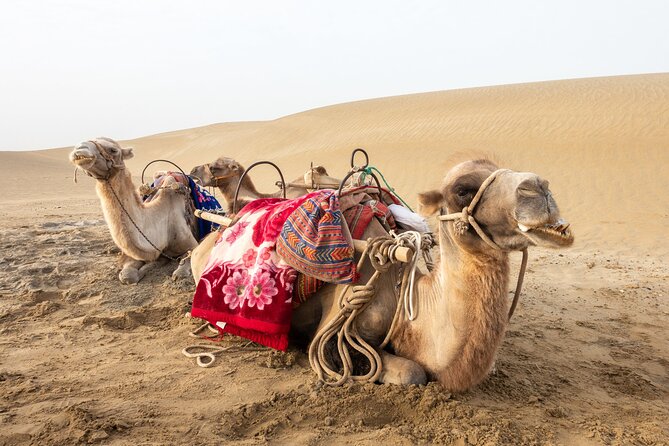 Full Day Tour to Desert Trip in Agadir with Lunch - Sidi R’bat beach and the fishermen’s caves
