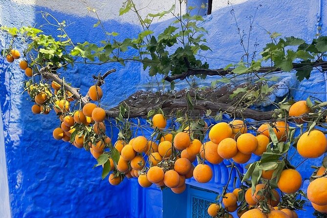 Full-Day Tour to the Blue City Chefchaouen on Small-Group - Why free time can be better than a rushed guided walk