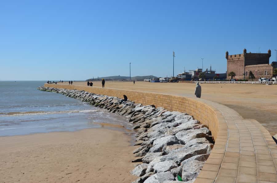 Full Day Trip From Marrakech To Essaouira - The 20-minute argan oil factory stop
