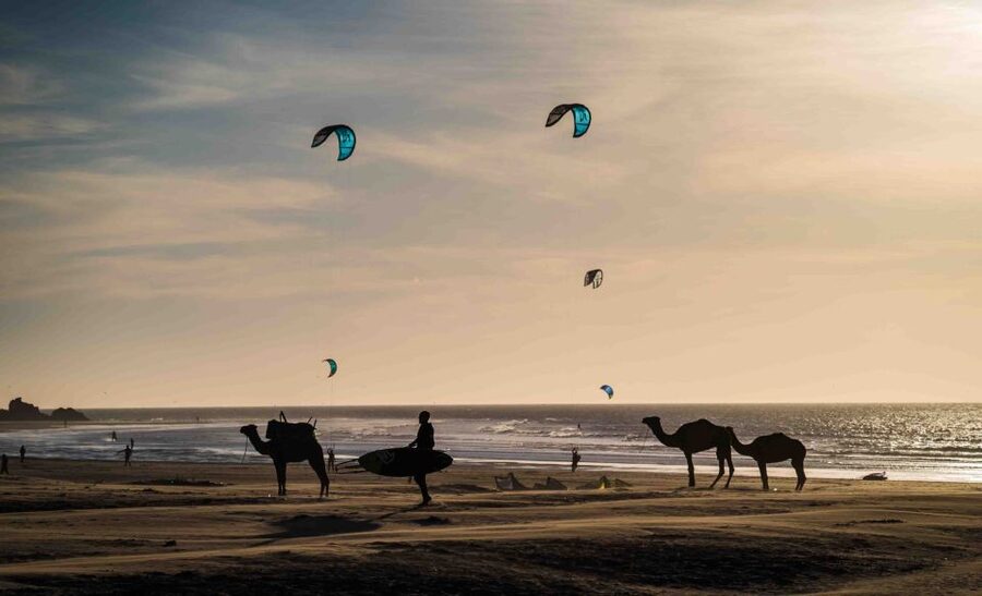 Full Day Trip From Marrakech To Essaouira - Four hours to explore Essaouira independently