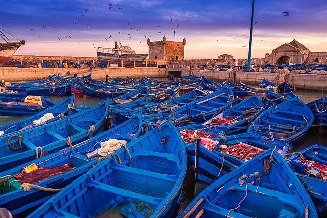 Full Day Trip To Essaouira From Marrakech - The 8:00 AM Road Out Of Marrakech