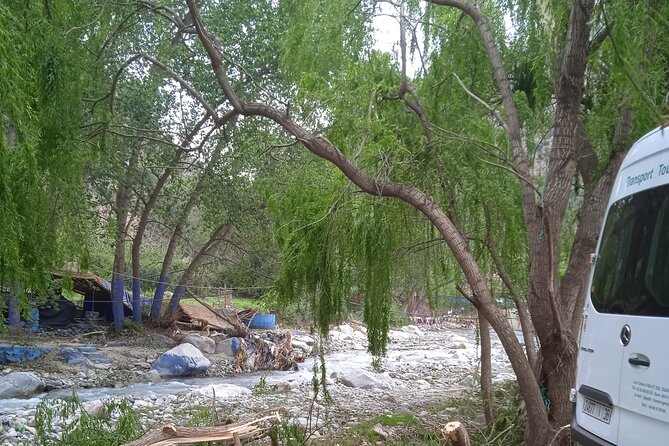 Full Day Trip to Ourika Valleys with waterfalls - Transport, group size, and the real value of $19.74