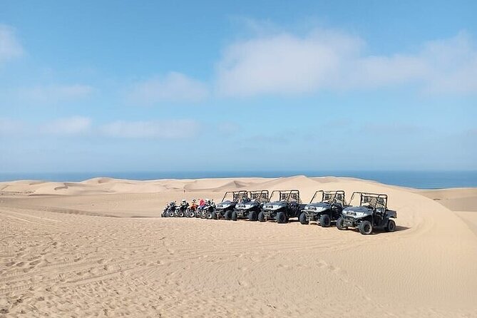 Fun buggies in Agadir Forest and Beach Dunes - Key things to know before you book