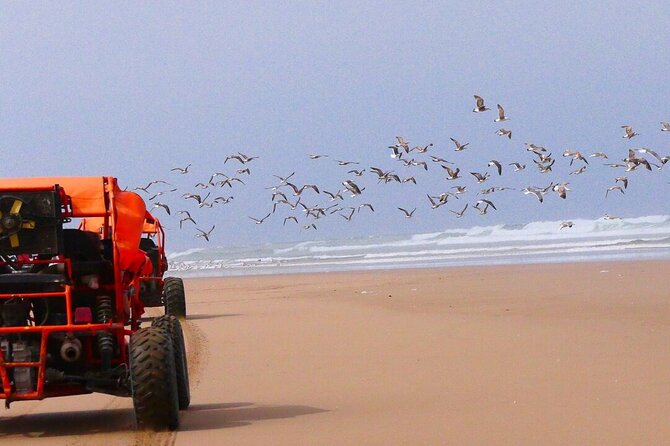Fun buggies in Agadir Forest and Beach Dunes - What this Agadir buggy tour is really like
