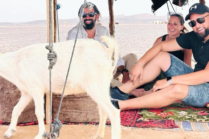GROUP TOUR - 1 night 2 Day LUXURY Desert TRIP from FES to FES - What the luxury desert camp really adds