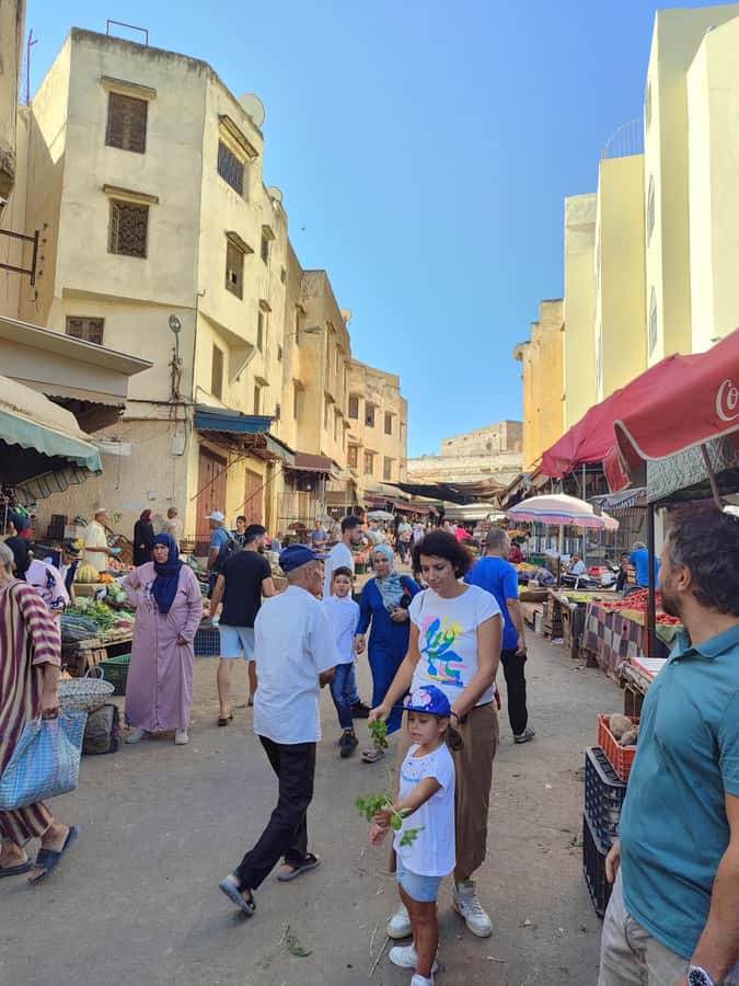 Half day guided tour in Fes Medina - Bou Inania Madrasa and Marinid design