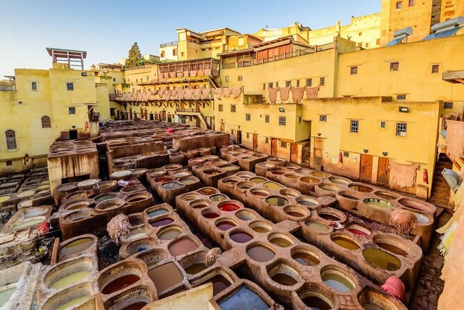 Half-Day Private Guided Walking Tour in Fez Medina - Chouara Tannery, color and strong smells