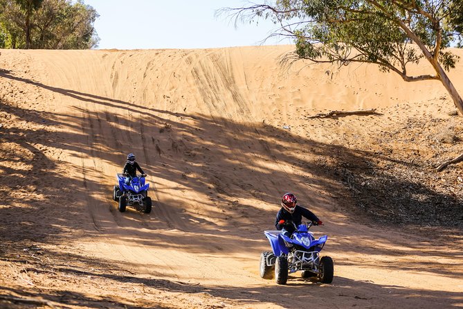 Half day Quad excursion / Half day quad - The first circuit through argan trees