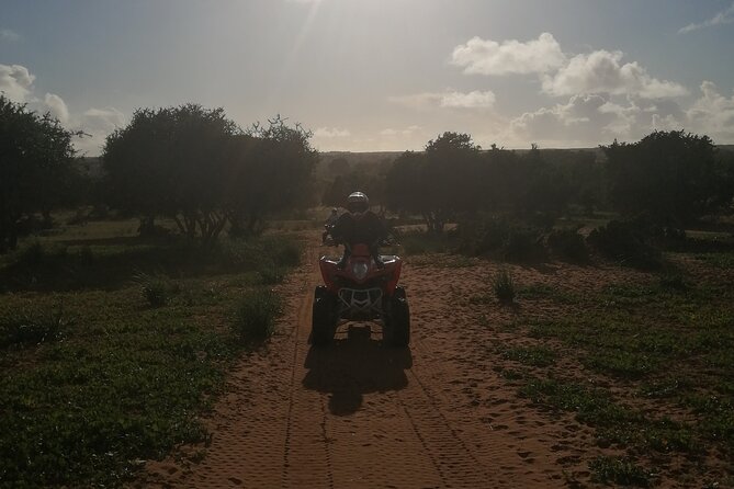 Half Day Quad in Agadir - Timing, transport, and practical expectations