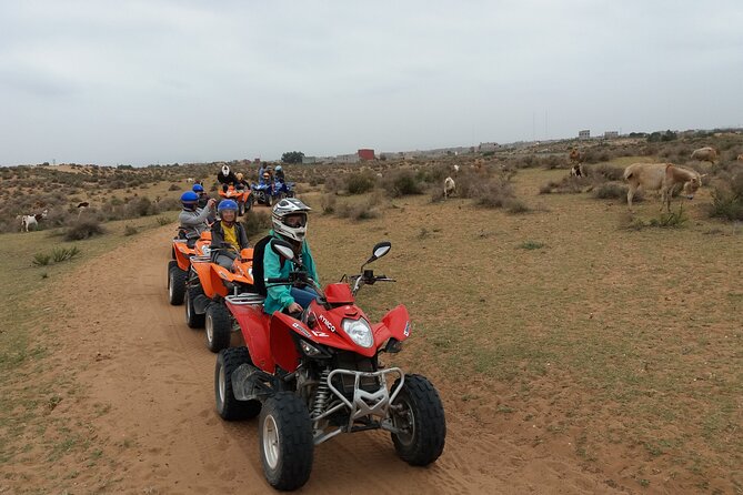 Half-day QUAD In Agadir + pick-up included from Agadir - Takkad, sand tracks, and greenhouse country