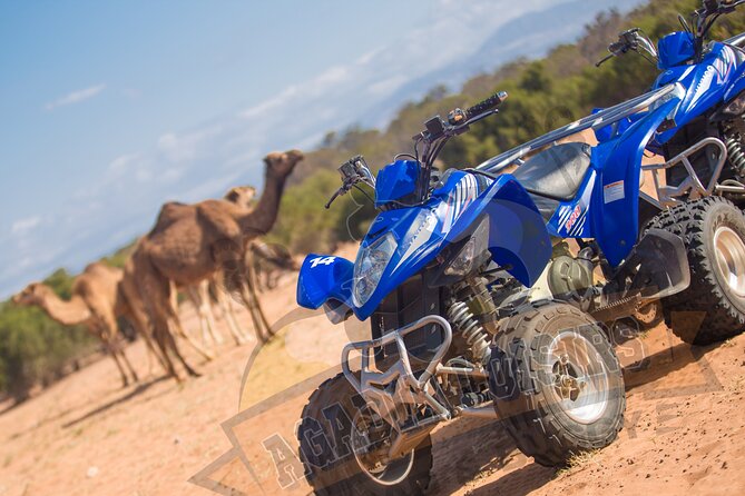 Half-day QUAD In Agadir + pick-up included from Agadir - How demanding is the quad ride?