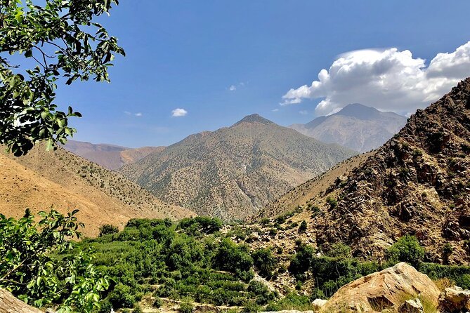 Half Day Tour From Marrakech to the Atlas Mountains & Ourika Valley - The Ourika Valley by road and river