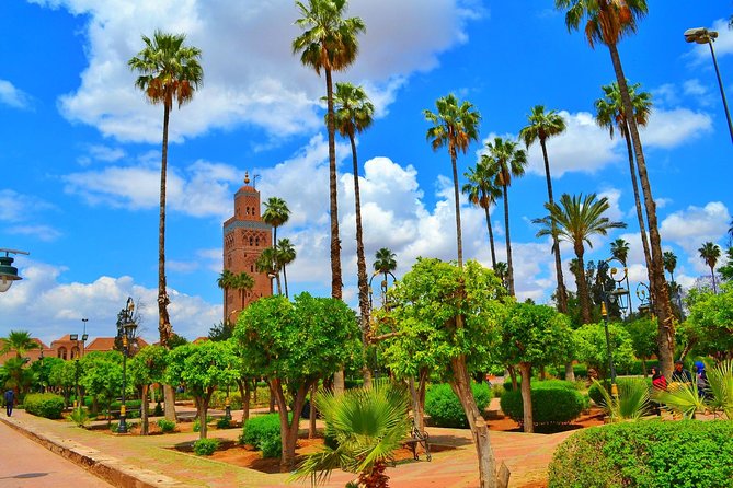 Highlights of Marrakech: Private Half-Day City Tour - Medersa Ben Youssef and the value of paying attention