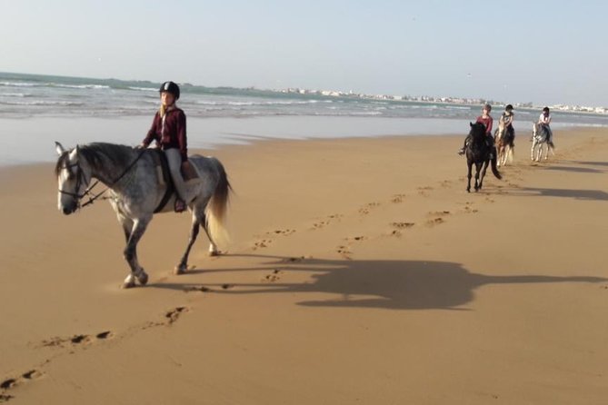 Horse Ride on the Beach in Essaouira - Climbing the dunes between forest and sea
