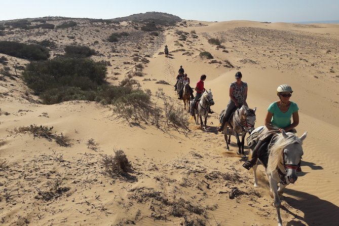 Horse Ride on the Beach in Essaouira - Sunset timing and the best feel of the route