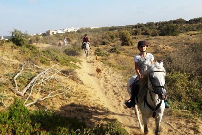 Horse Ride on the Beach in Essaouira - Through the dry forest with goats and camels