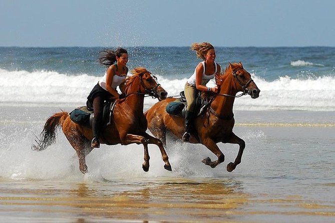 Horse Riding Agadir - Starting from your Agadir hotel
