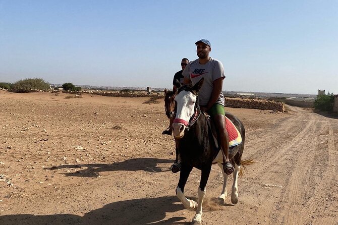 Horse Riding Agadir - How the riding pace works