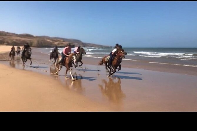 Horse Riding Agadir - Horses, guides, and the human side