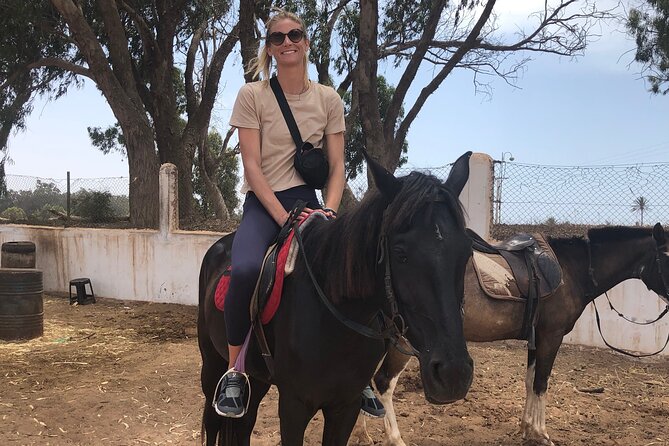 Horse Riding Agadir - Wildlife, camels, and what you may see