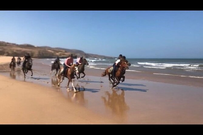 Horse Riding Agadir - Is $34.88 a fair price?