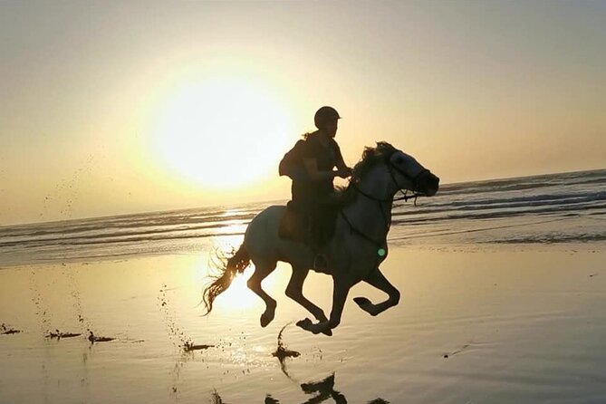 Horse riding on the beach of Essaouira 2 hours - Quick facts about the ride