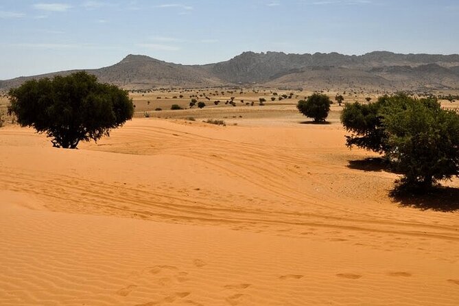 Jeep 4x4 Safari Desert Dunes & Atlantic Ocean with Berber Lunch - From Agadir to the Atlantic edge