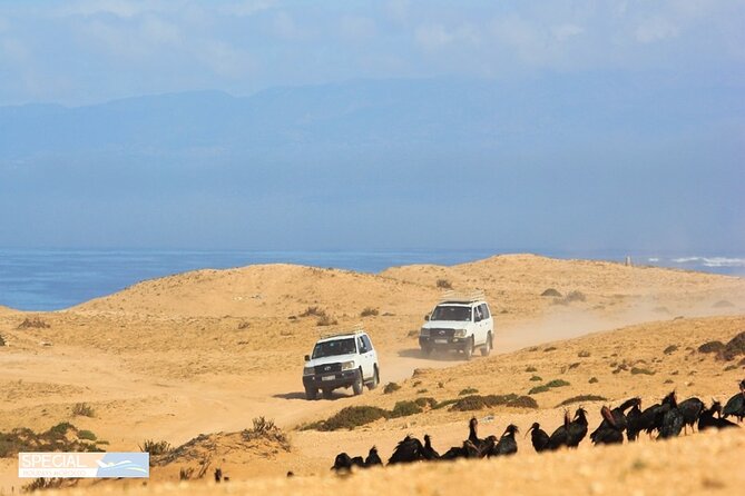 Jeep 4x4 Safari Desert Dunes & Atlantic Ocean with Berber Lunch - Sidi R’bat and the fishermen’s caves