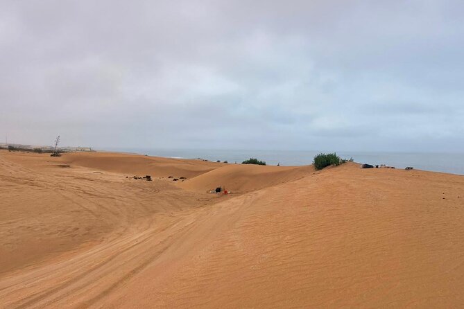 Jeep safari 4x4 mini sahara desert with Berber Lunch - The Massa River and the Souss-Massa setting