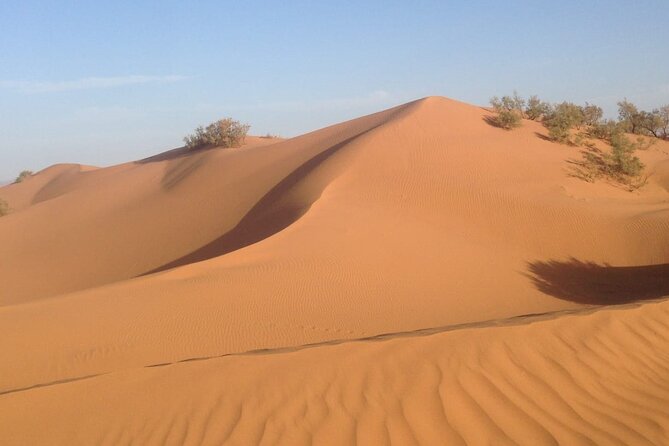 Jeep Tour to Mini Sahara With Lunch Small group - Key points at a glance