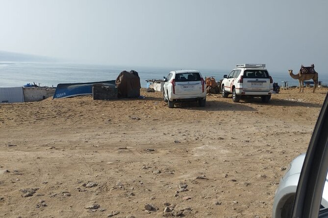 Jeep Tour to Mini Sahara With Lunch Small group - The Mini Sahara: keep the scale in mind