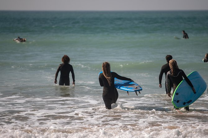 Join our Surf Day trips and learn surfing! - Key points to know before booking