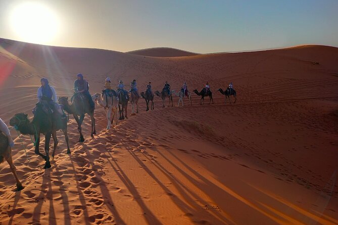 LET'S GO Tour MARRAKECH to DESERT TO FES 3 Days - Day 1: From Jemaa el-Fnaa over the High Atlas