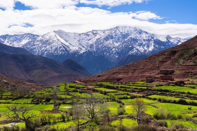 Lunch in the High Atlas: Ourika Valley Waterfalls & 3 Valleys - Dinner under the desert sky