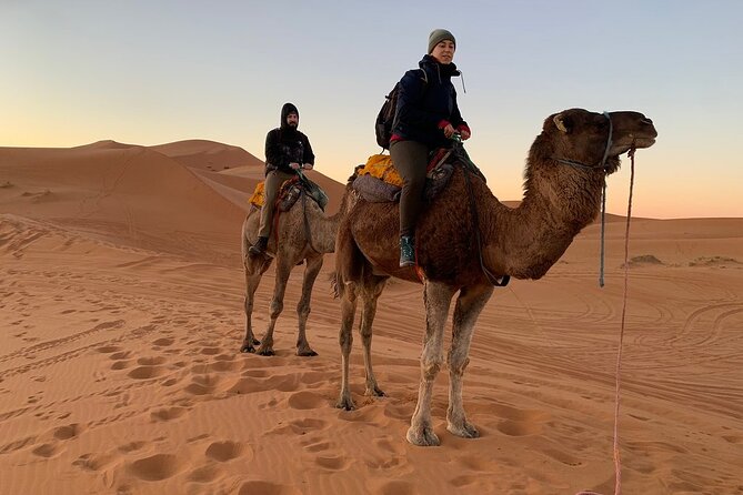 Luxury 2-Days Desert Trip from Fes to.:( fes or marakech) - Arriving at Erg Chebbi for sunset