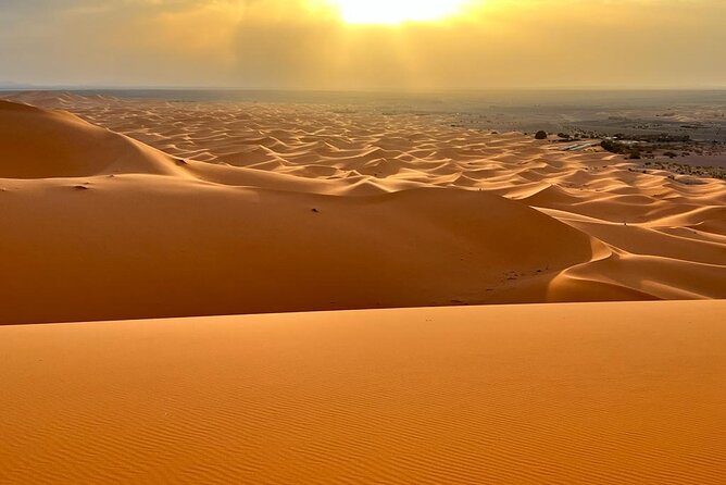 luxury 3 Days 2 Nights Desert Tour from Fez to Marrakesh - Arriving at Erg Chebbi for the camel ride