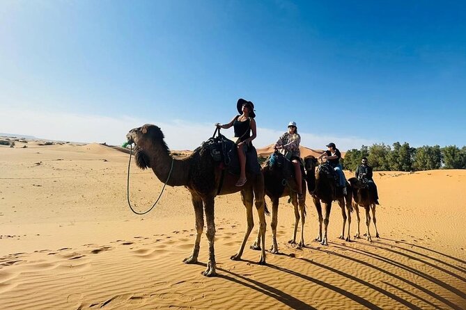luxury 3 Days 2 Nights Desert Tour from Fez to Marrakesh - Ifrane and the cedar forest near Azrou
