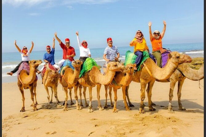 luxury 4 Hour Private Tour of Tangier - Key points to know before booking