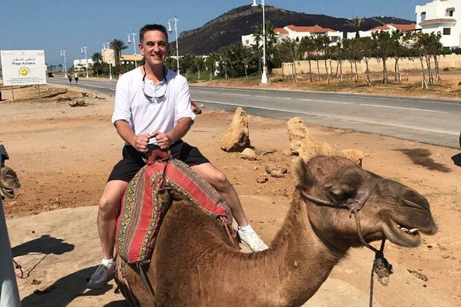 luxury 4 Hour Private Tour of Tangier - The city introduction: Mohammed V Mosque and Marshan Palace