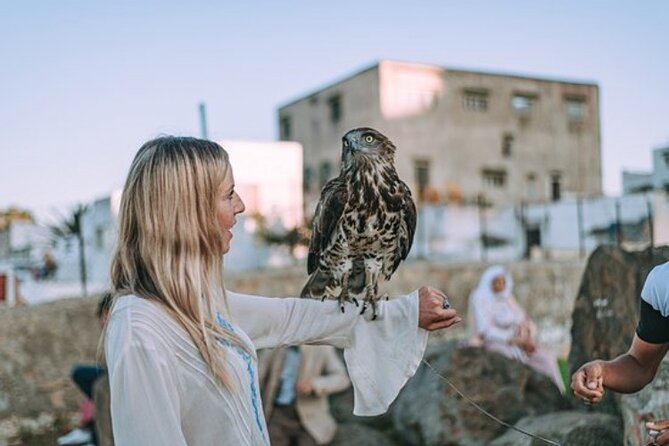 luxury 4 Hour Private Tour of Tangier - Parc Perdicaris and the story behind the forest