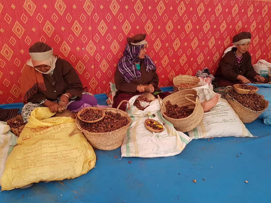 Luxury day trip to Essaouira from Marrakech - Key points before you book