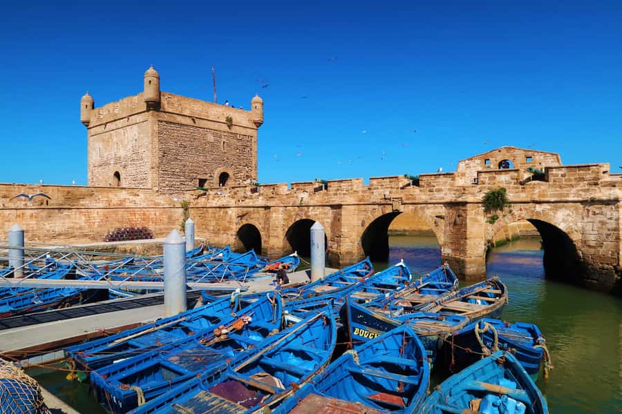 Luxury day trip to Essaouira from Marrakech - Roadside breaks, goats, and argan oil