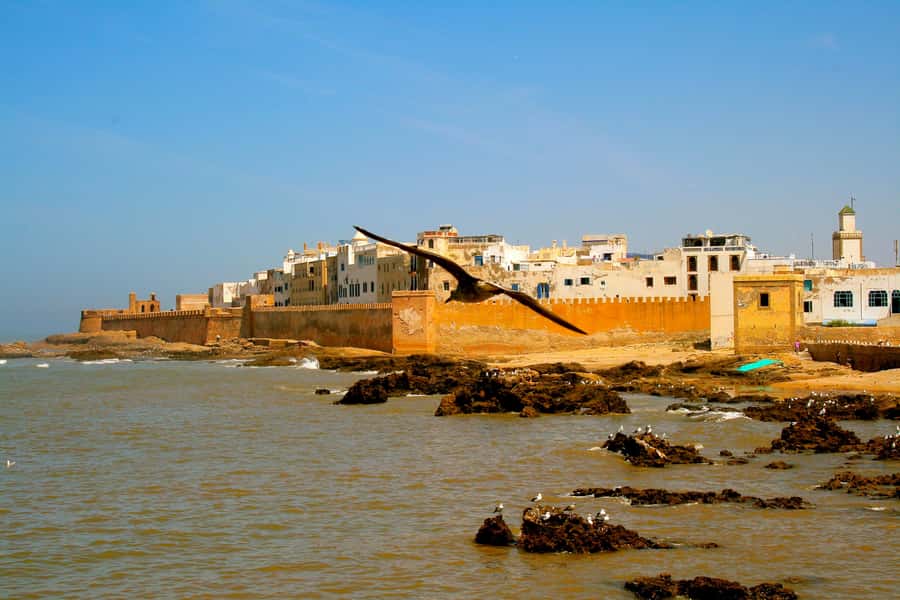 Luxury day trip to Essaouira from Marrakech - First look at Essaouira’s port and medina