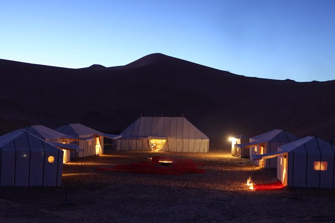 luxury desert tour 3days 2 night fez merzouga ouarzazat marakech - Camel tracks and a night in the Sahara