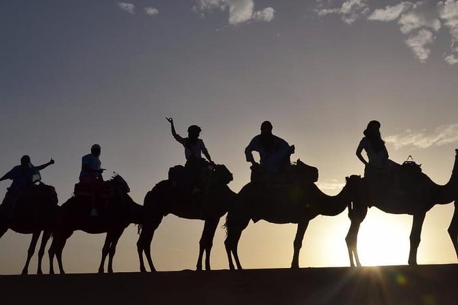 Luxury Overnight From Fez To Merzouga - Azrou and its Barbary apes