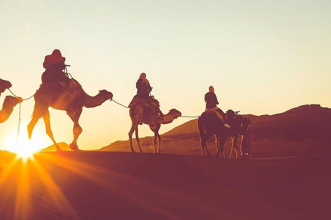 Luxury Overnight Sahara Desert trip fez Back to Fez or Marrakech - Sunset by camel from Merzouga