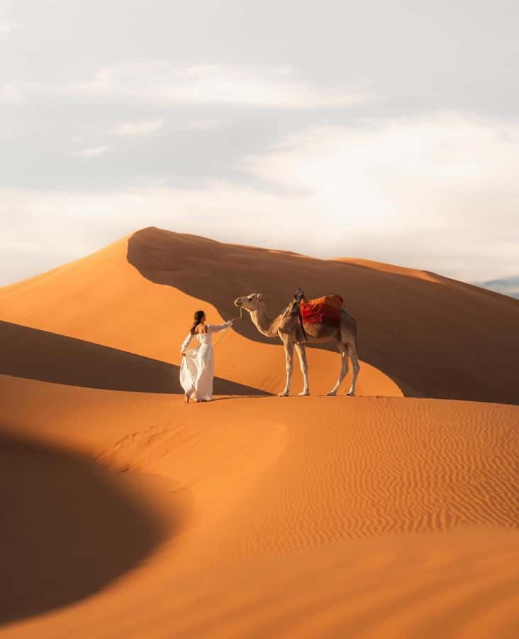 Majestic Desert: 3-Day Luxury Journey from Marrakech to Fes - Key points to know before booking